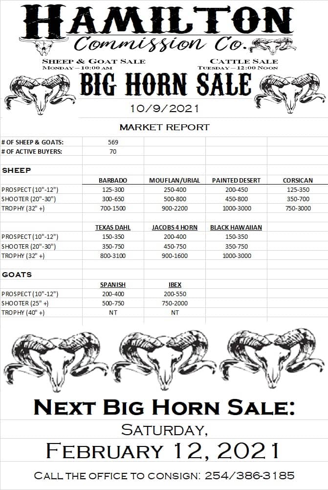 10.9.21 BH market report