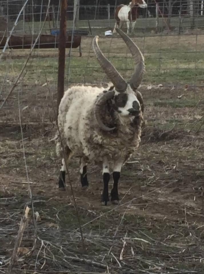 43584708_1052166671610835_6929287969492697088_n