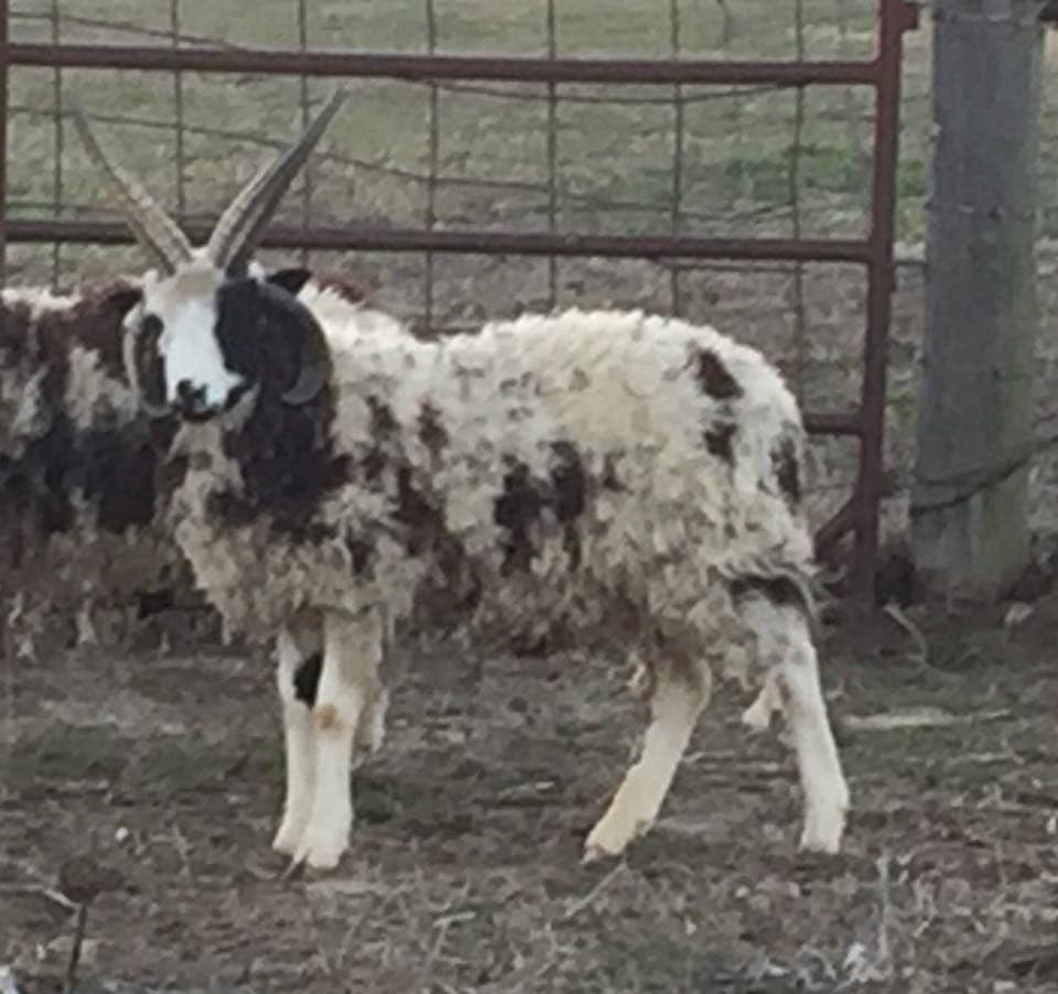 43623020_1052166718277497_6705046438478348288_n