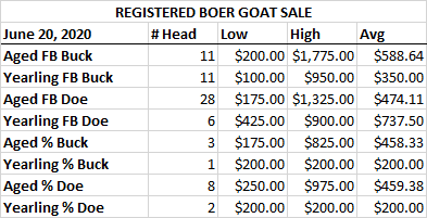 June 2020 Market Report