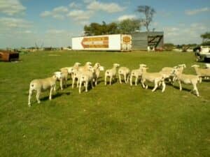 31417011_924423297718507_7831759773472129024_o